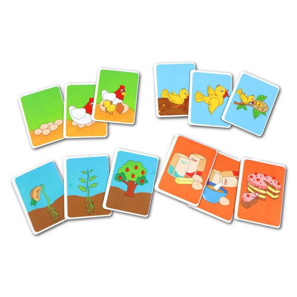 What Happen Next Sequence Card Game Set for Kids
